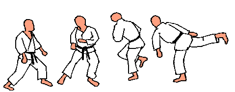 http://www.karate-contact.eu/admin/images/upload/ushiro4.gif