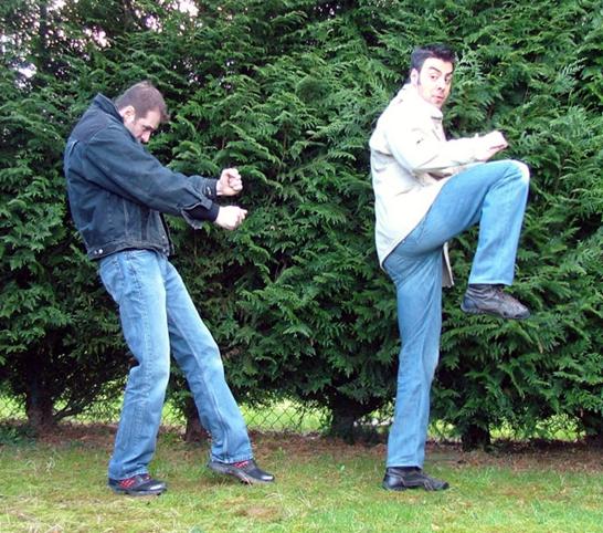 http://www.karate-contact.eu/admin/images/upload/coupdelatekitu%202.jpg