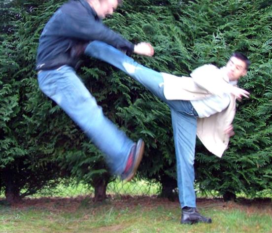 http://www.karate-contact.eu/admin/images/upload/coupdelatekitu%205.jpg