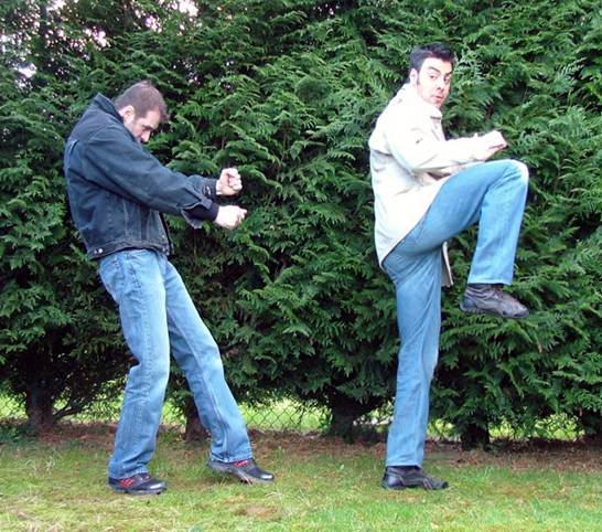 http://www.karate-contact.eu/admin/images/upload/coupdelatekitu%202.jpg