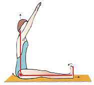 prevention douleurs musculaires