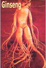 douleurs musculaires et ginseng