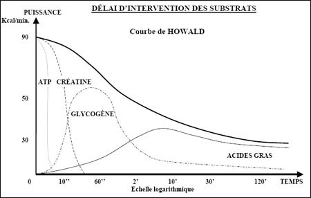 http://www.musculaction.com/images/howald.jpg