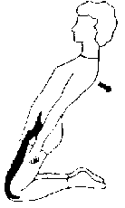 exercice de stretching pour le quadriceps phase de contraction