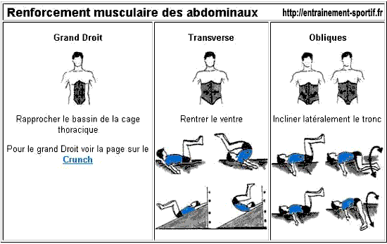 renforcement musculaire des abdominaux