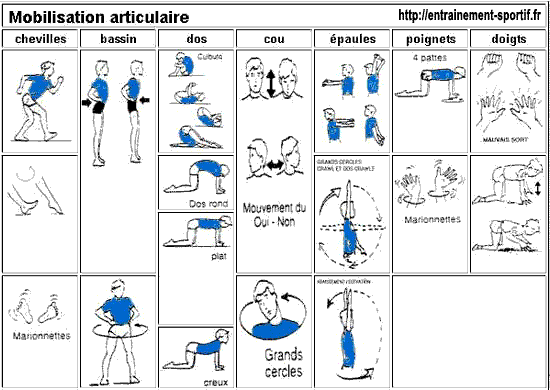 mobilisation articulaire